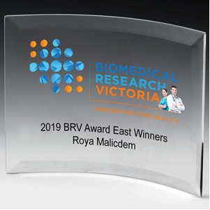 Freestanding Curved Award w/4-Color Process (6"x 8"x 1/4")