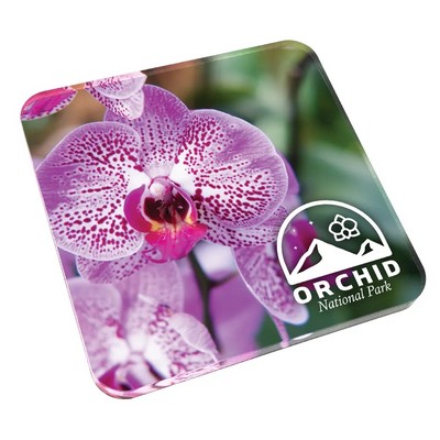 Custom Acrylic Drink Coasters- cork back