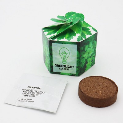 "Pop Up" Starter Kit